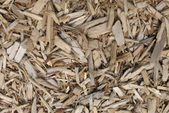 biomass boilers Langar