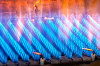 Langar gas fired boilers